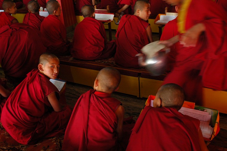 Mirik, mnisi w klasztorze Bokar Gompa (Indie 2008, lato, część pierwsza)